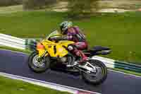 Evening Adv_Mid Group Yellow Bikes